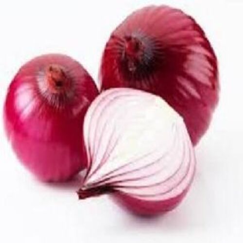 Healthy and Natural Fresh Red Onions