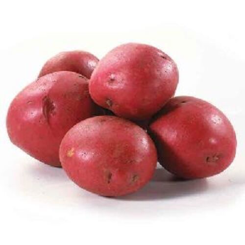 Healthy and Natural Lady Rosetta Potato