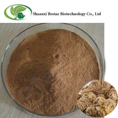 Organic Maca Root Extract Powder