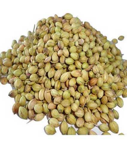 100% Pure Coriander Seeds