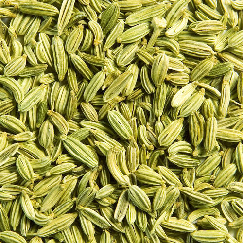 Green Healthy And Natural Fennel Seeds