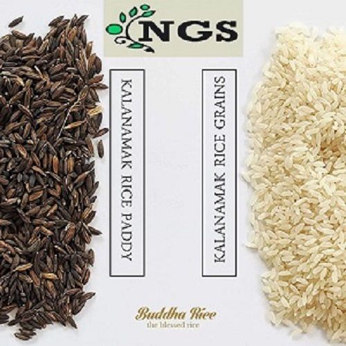 White Top Quality Kalanamak Rice Grains