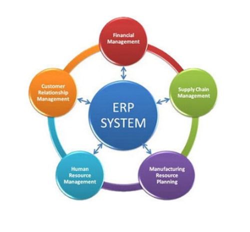 ERP Software Development Service