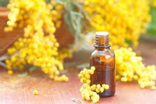 Mimosa Absolute Essential Oil For Aromatherapy, Cosmetics And Soap Manufacturing Age Group: Adults