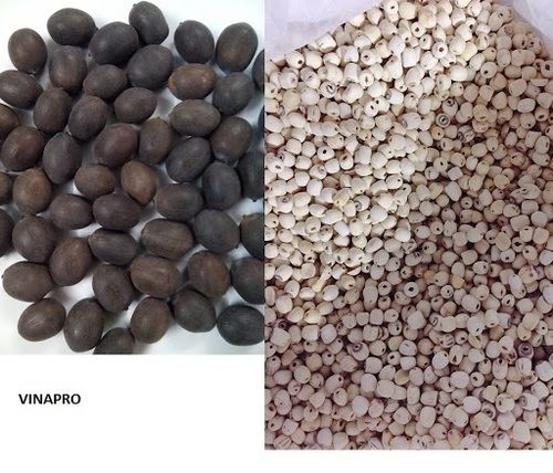 Agriculture Products Black Lotus Seeds