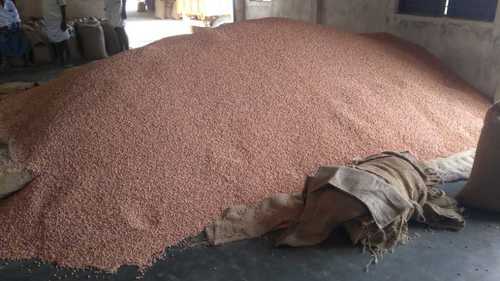 Export Quality Peanut Or Groundnut Kernel