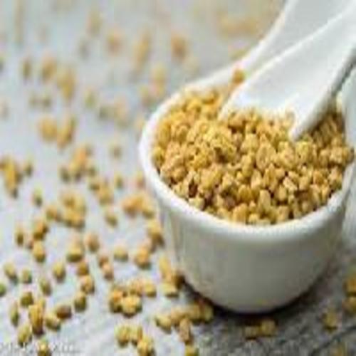 Yellow Healthy And Natural Fenugreek Seeds