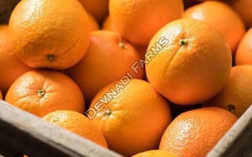 Healthy and Natural Fresh Orange