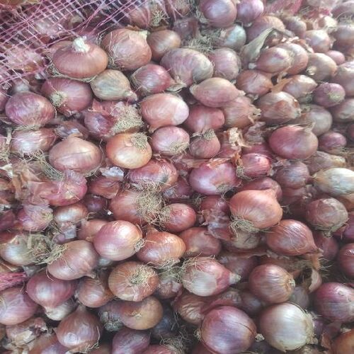 Healthy and Natural Fresh Pink Onion