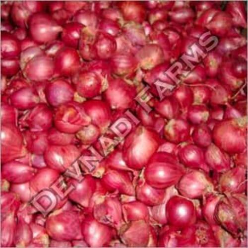 Healthy and Natural Fresh Small Red Onion