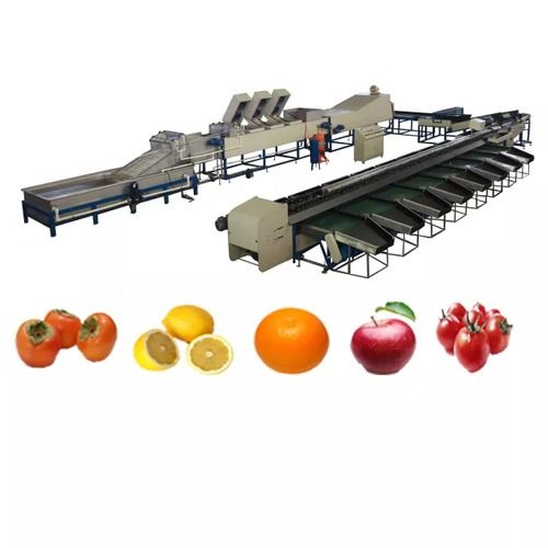 Mushroom Processing Machine (Vegetable Processing) Capacity: 100-5000 Kg/Hr