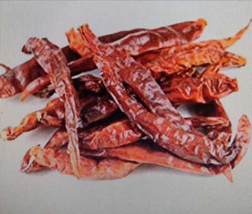 Natural Dried Red Chilli  Shelf Life: 1 Years