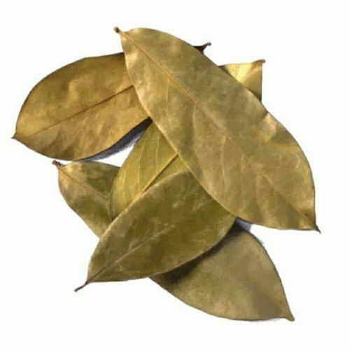 Soursop Dried Leaves