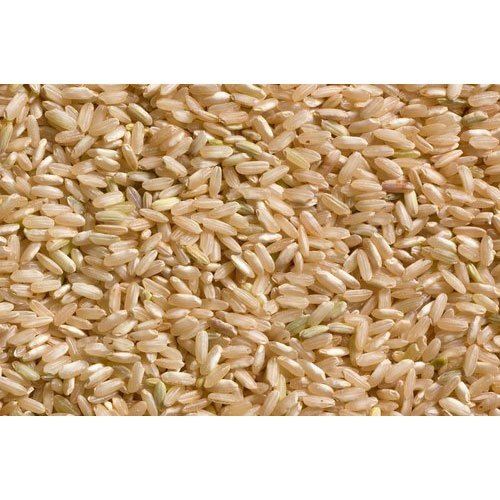 Common Short Grain Brown Rice