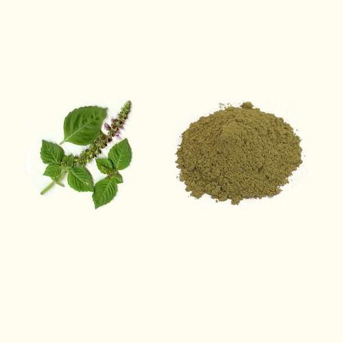 Tulsi Extract Grade: Food Grade