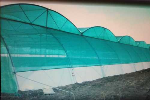 Galvanized Structure Green Polyhouse