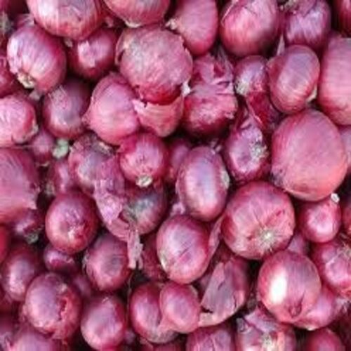 Healthy and Natural Fresh Indian Red Onion