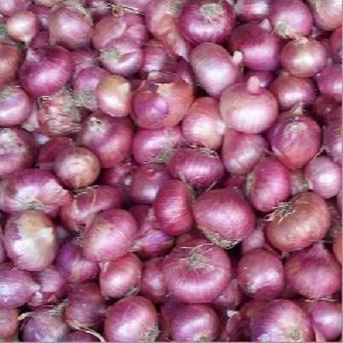 Healthy and Natural Fresh Pink Onion