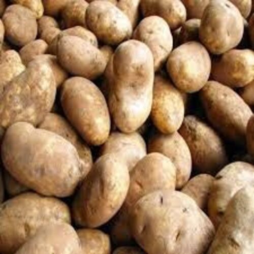 Healthy and Natural Fresh Raw Potato