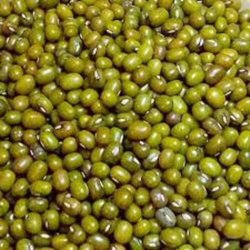 Healthy And Natural Whole Green Moong Grain Size: Standard