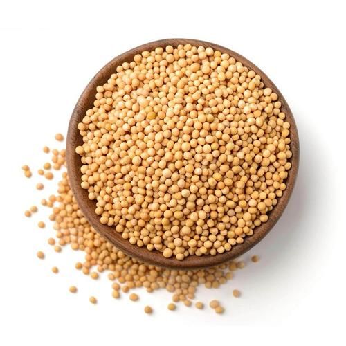 Organic Yellow Mustard Seed