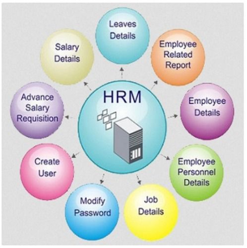 Payroll Management System Software