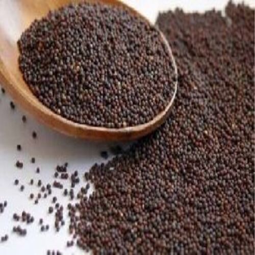 Healthy And Natural Mustard Seeds