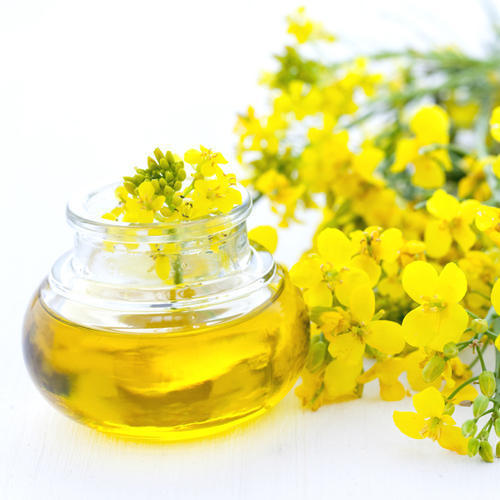 High In Protein Rapeseed Oil
