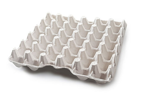 White Paper Coated Egg Tray