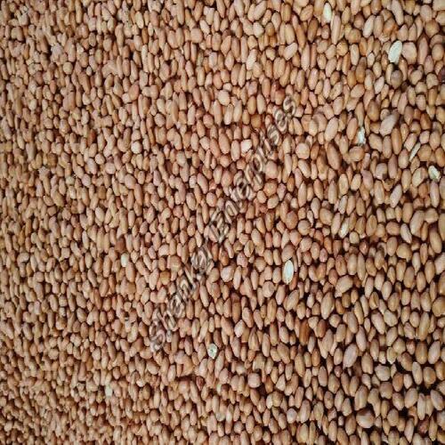 Organic Healthy And Natural Groundnut Seeds