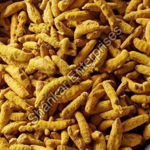 Healthy and Natural Turmeric Finger