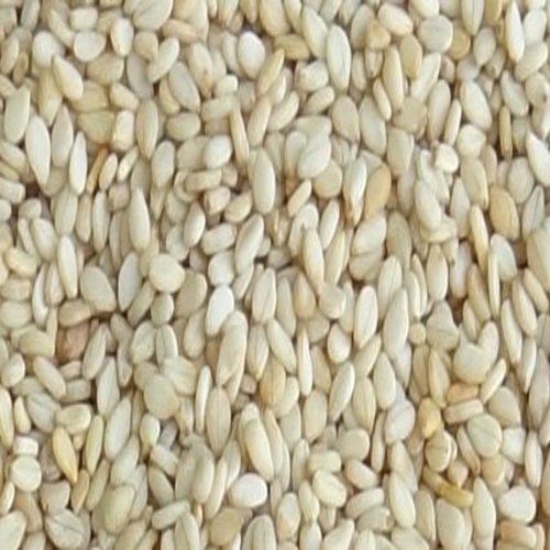 White Sesame Seeds - 100% Pure, Food Grade, Organic Variety | Non Harmful, Natural Taste, Very Good Quality, Store in Cool and Dry Place