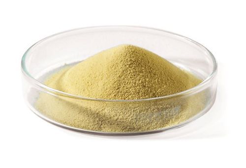 Pharmaceutical Grade Casein Powder - High Purity, Completely Soluble in Water | Off-white to Beige Appearance, Amino Nitrogen 3.5%, for Microbiological Media and Fermentation