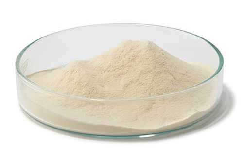 Pharmaceutical Grade Casein Powder - Completely Soluble, High Purity 95% | Suitable for Microbiological Media and Fermentation Applications