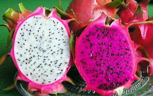 White And Red 100% Frozen Dragon Fruit