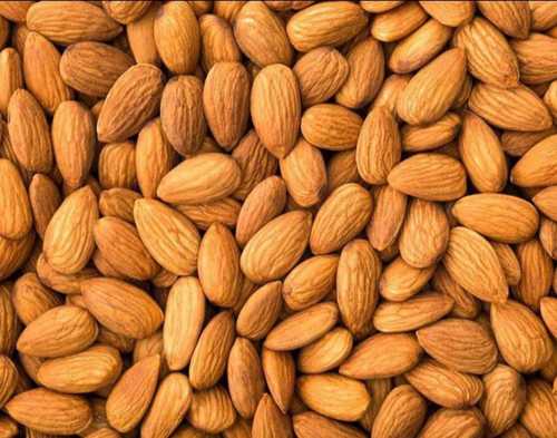 Export Quality California Almond Kernel