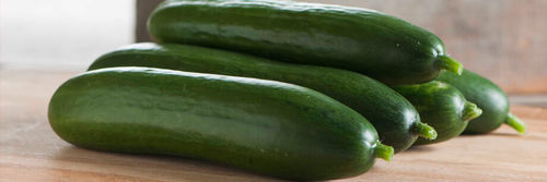 Organic Farm Fresh Cucumber