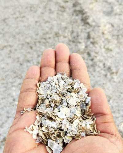 Mica Flakes at Rs 10/kilogram, Mica Flakes in Kolkata