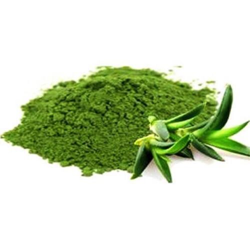 Green Aloe Vera Powder Ingredients: Herbal Extract