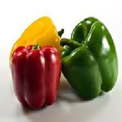 Organic Fresh Capsicum - Green, Yellow, Red | Non Harmful, Natural Taste, Food Grade Quality, Ideal for Human Consumption, Stored in Cool and Dry Place