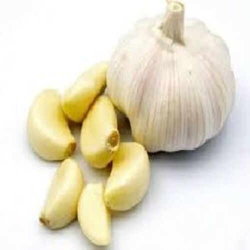 Healthy And Natural Fresh Garlic