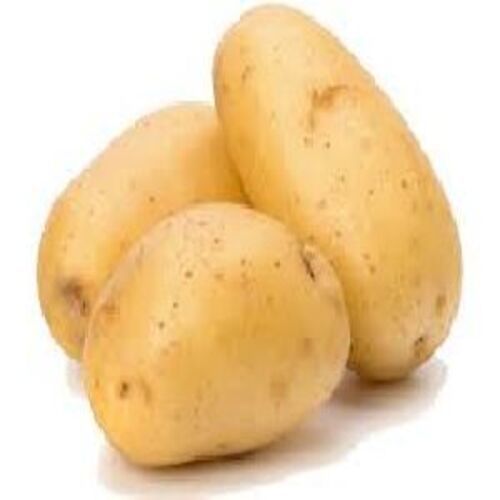 Round Healthy And Natural Fresh Potato