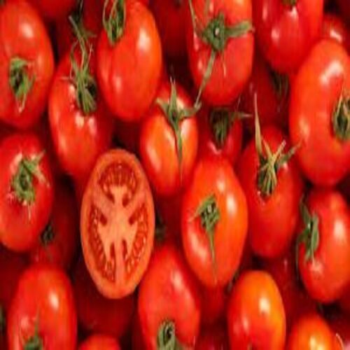 Organic Red Tomatoes - Round and Oval Shape, Food Grade Quality | Good for Health, 100% Maturity, No Preservatives, Ideal for Cooking