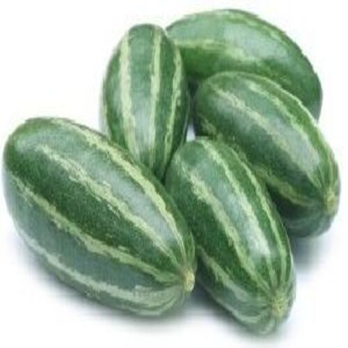 Organic Fresh Green Pointed Gourd - Food Grade Quality, Raw Style, Natural Taste, Non Harmful, Ideal for Human Consumption, Store in Cool and Dry Place