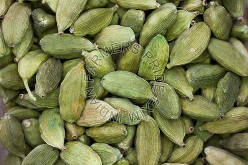 Green Healthy And Natural Cardamom Pods