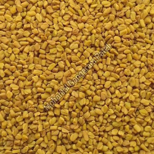 Yellow Healthy And Natural Fenugreek Seeds