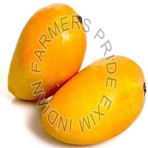 Yellow Healthy And Natural Fresh Mango