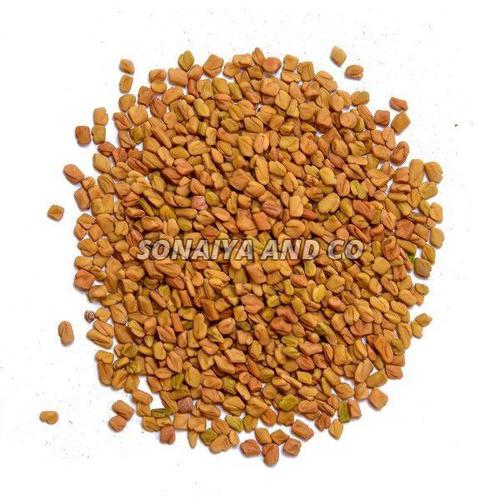 Healthy and Natural Indian Fenugreek Seeds
