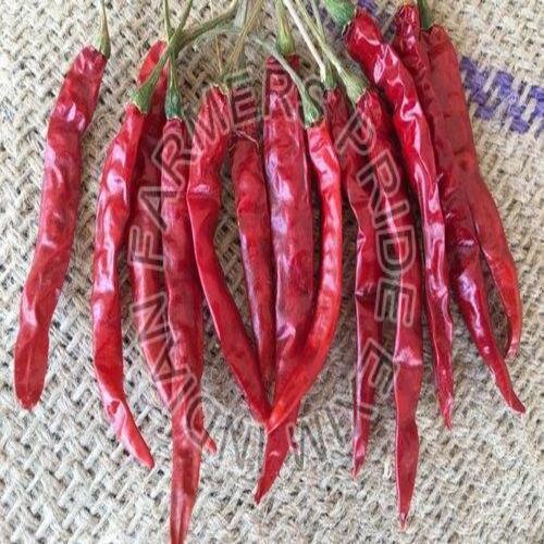 Healthy And Natural Sannam S10 Dry Red Chilli Grade: Food Grade