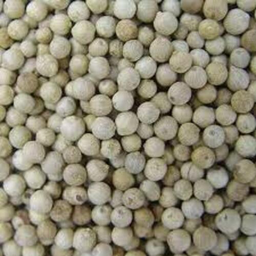 Healthy and Natural White Pepper Seeds